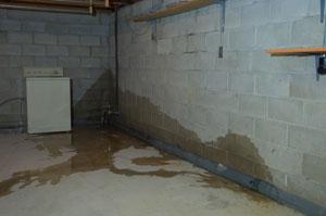 Home With a Wet Basement Problem